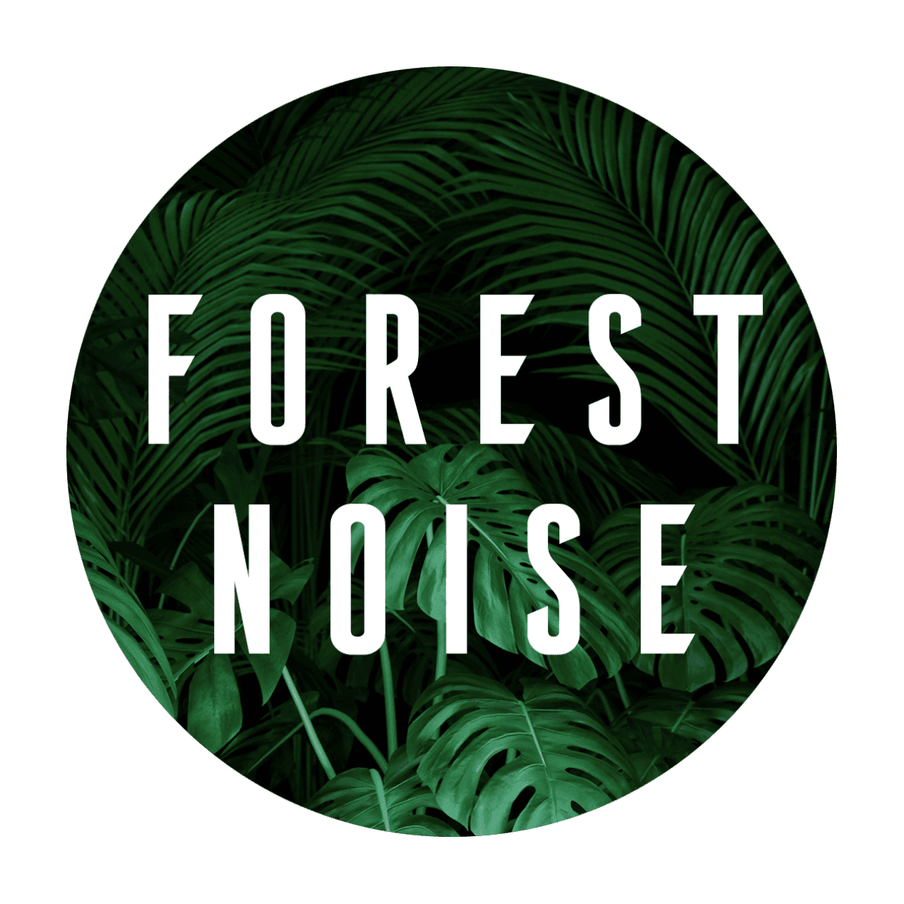 Forest Noise